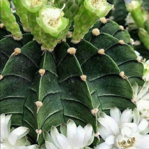 Meet your Posher, Ivilyn - Picture 8 of 11